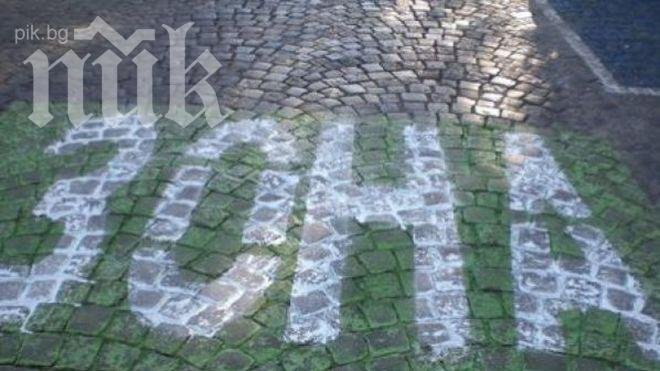 Разширяват зелената зона в София