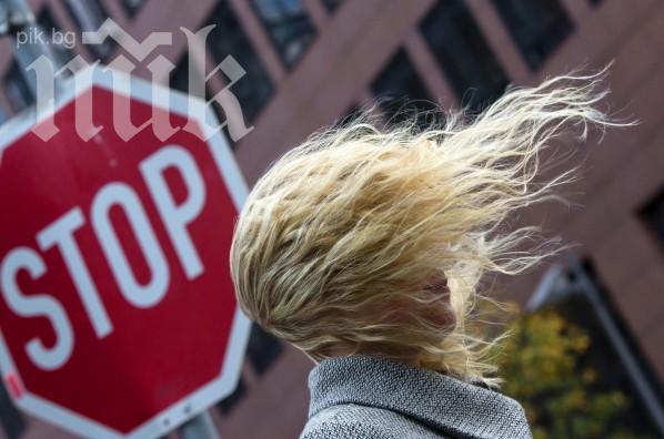 Ураганен вятър помете София! Боклуци и прах летят бясно във въздуха! Пазете се от падащи предмети!
