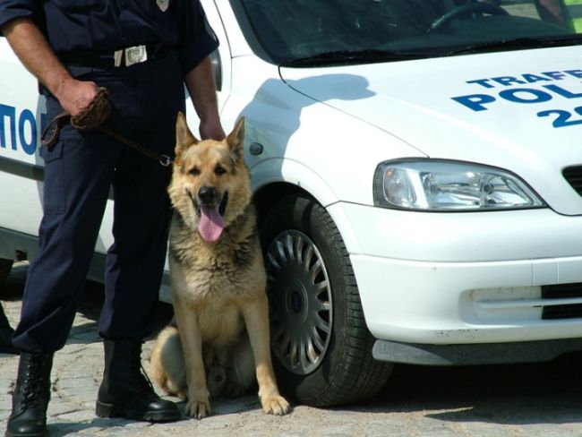 Младеж напсува ченгета, арестуват го