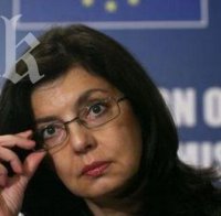 Меглена Кунева бе избрана за водач на евролистата на Реформаторския блок
