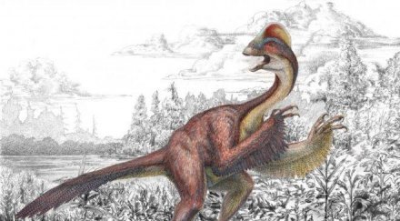 откриха фосили динозавър приличал гигантска кокошка