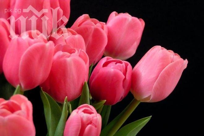 Любимото цвете издава характера