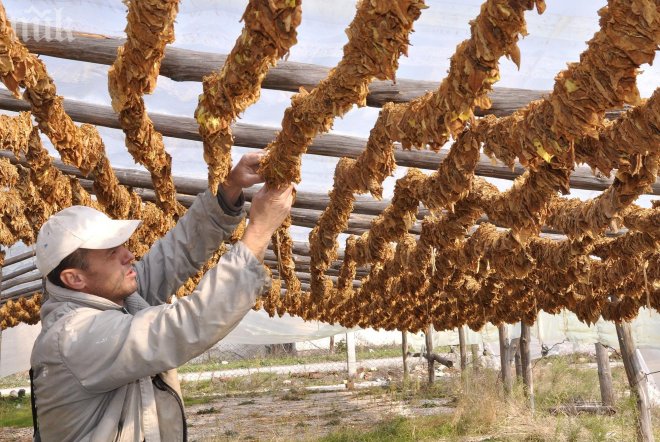 Тютюнопроизводител заплаши да се самозапали пред парламента