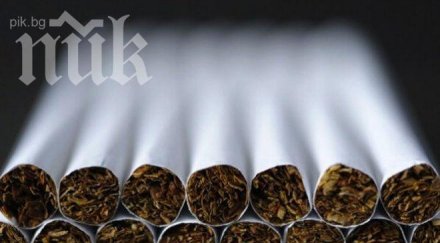 булгартабак започва изкупуване тютюна