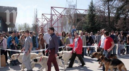 000 посетители видяха пролетните изложби международен панаир пловдив