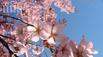 синоптици бан задава температурен апокалипсис градусите падат нулата ден началото април пролетта връща