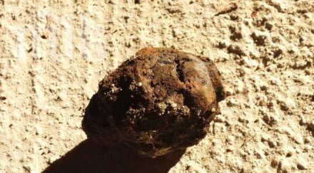 версия бомбата колата пловдивската адвокатка била мъжа