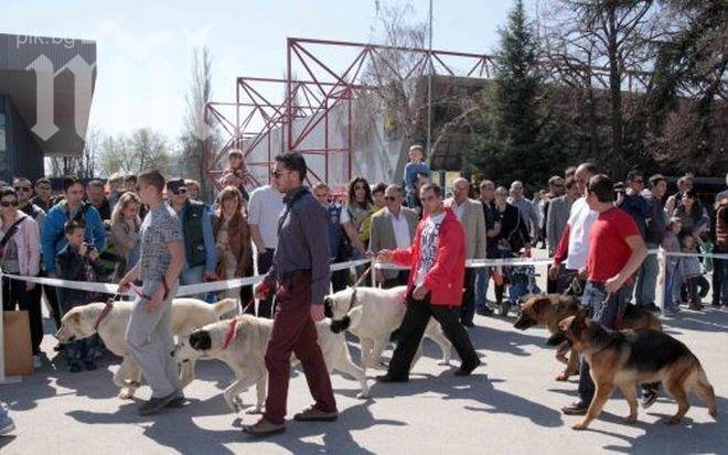 Над 20 000 посетители видяха пролетните изложби в Международен панаир Пловдив