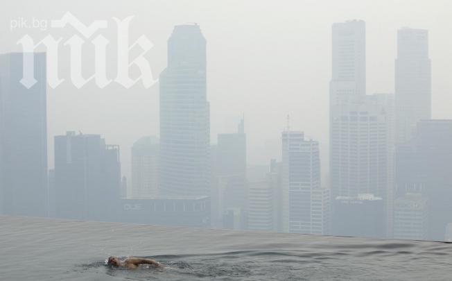 Дървено палете съживи надеждите за издирване на изчезналия малайзийски самолет
