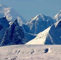 Петицията за присъединяване на Аляска към Русия събра повече от 30 000 гласа