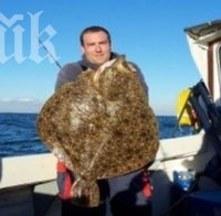 Уловиха огромен калкан в Несебър