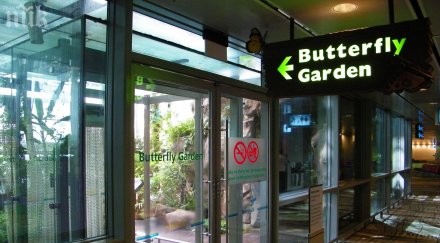 летището сингапур доброто света