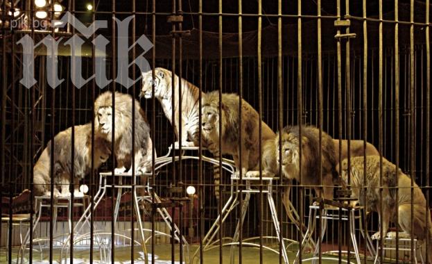 Край на цирковите представления с диви животни от 2015 г.