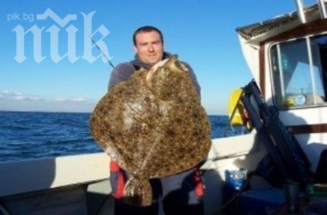 Уловиха огромен калкан в Несебър