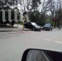 Нагъл шофьор закъса в Морската градина във Варна (снимки)