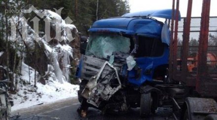 души загинаха катастрофа автобус камион