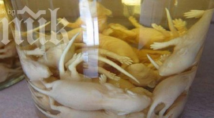 вижте храните накарат повърнете снимки