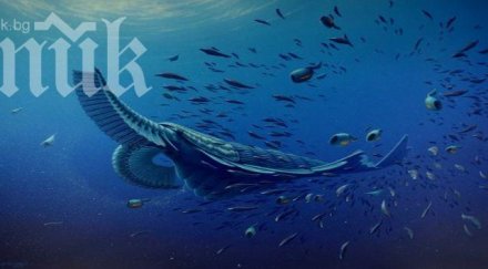 откриха древно гигантско същество наподобяващо скарида