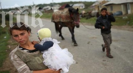 майка гледа деца прасе една стая
