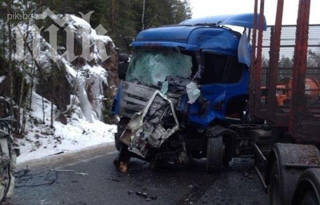 Най-малко 14 души загинаха при катастрофа между автобус и камион