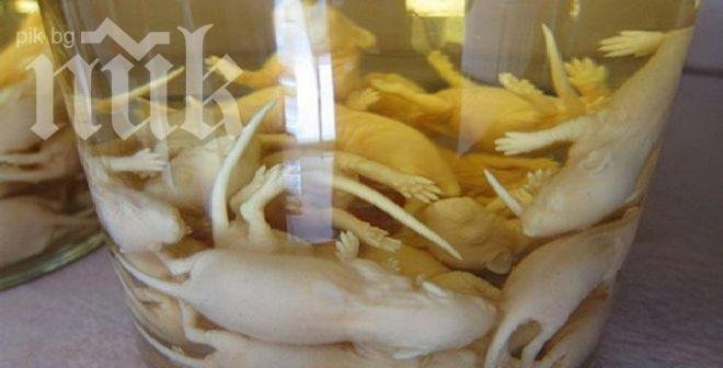 Вижте храните, които ще ви накарат да повърнете (снимки)