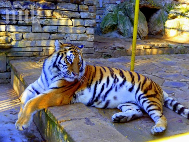 В Пловдив ще строят първия в България зоопарк по стандартите на ЕС