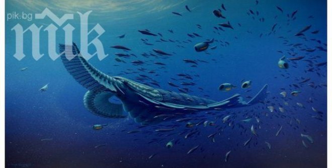 Откриха древно гигантско същество, наподобяващо скарида