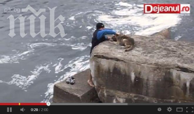 Трогателно видео! Ето как куче се отблагодарява, след като го спасяват от ледените води