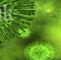 Микроби станали причина за най-масовото изчезване на животински видове на Земята