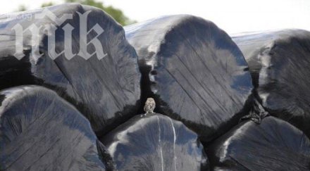 белгийската полиция удари мрежа фалшиви торби смет