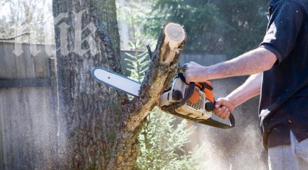 моторна резачка заби гърлото дървар оживя снимка