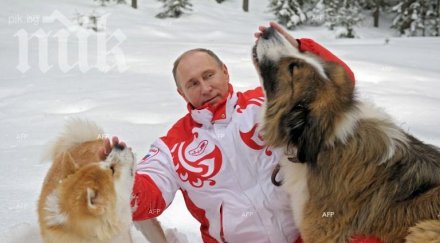 руснаците забавляват любимата първоаприлска шега путин подаде оставка