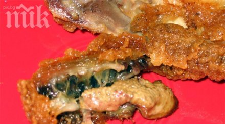 внимание изпатила клиентка натрових храна кей слагат пърженото пиле