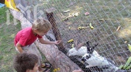 русия вземат спешни мерки повишаване раждаемостта