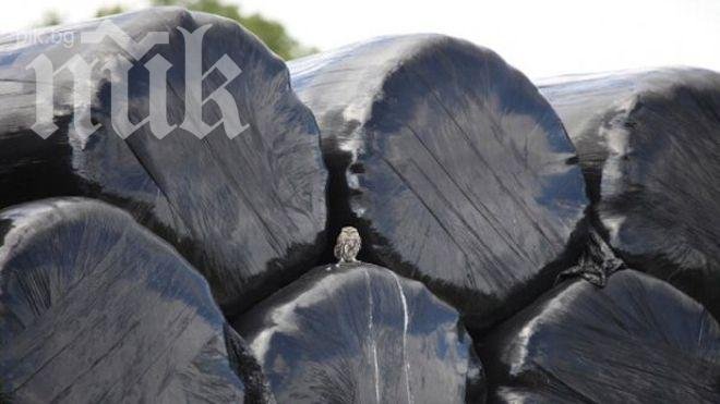 Белгийската полиция удари мрежа за фалшиви торби за смет