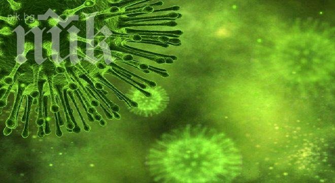 Микроби станали причина за най-масовото изчезване на животински видове на Земята