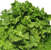 Нитратите в салатите – 20 пъти над нормата!