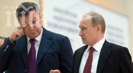 протест защита янукович град мариупол