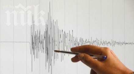 нов трус чили път