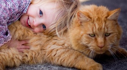 четириног хороскоп изберем домашен любимец детето зодията