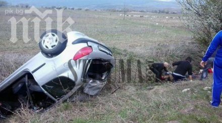 джип изненада пежо изхвърча блъсна пастир храстите