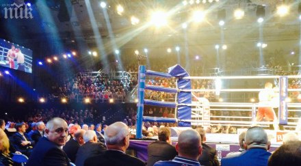 бойко борисов вика кобрата живо германия снимки