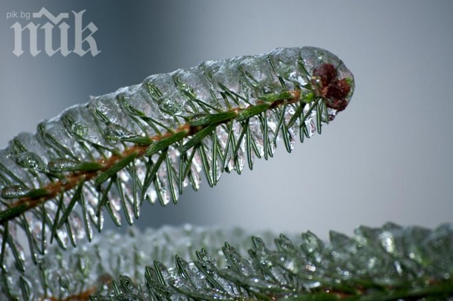 Не прибирайте зимните дрехи! Спряха парното, а ни чака студена седмица