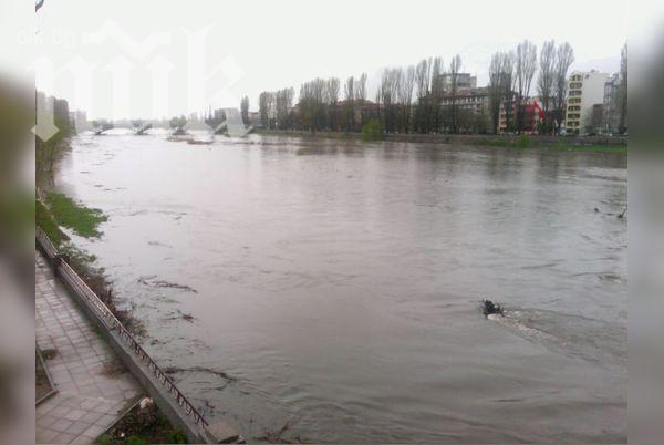 Млада жена се метна от мост на река Марица