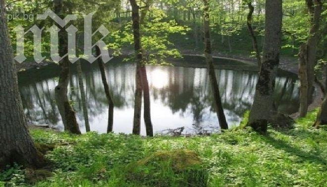 Вижте място, където е паднал последният гигантски метеорит (снимки)