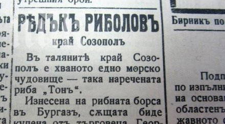 ретро години 300 килограмово морско чудовище хванато созопол