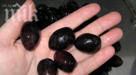 маслините полезни