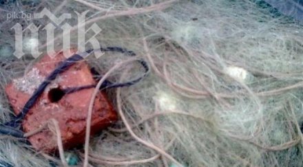 отново извадиха бракониерски мрежи жребчево