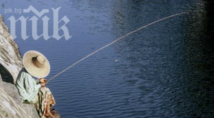 мъртва риба плува река каменица