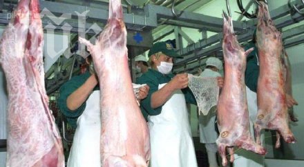 цените агнешкото скачат лева килограм